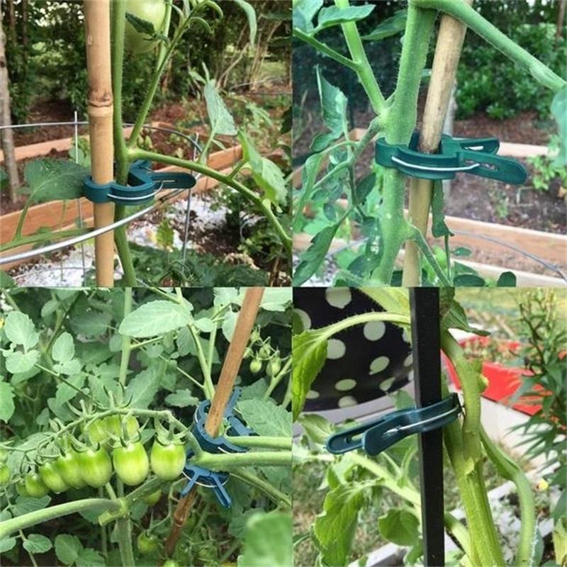 Reusable Garden Flower Lifting Grippers and Clamps