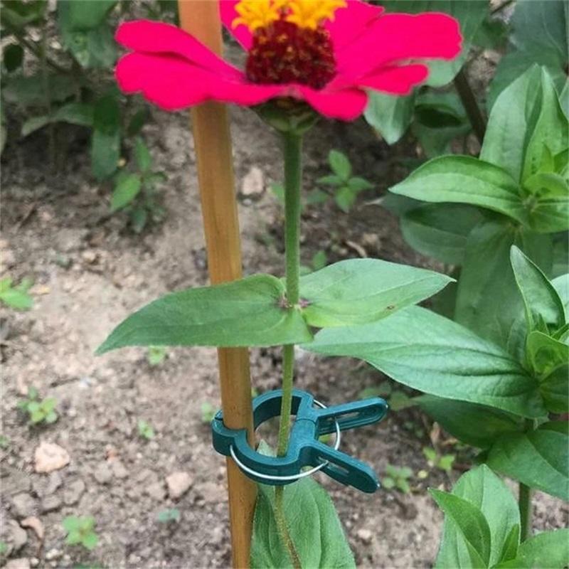 Reusable Garden Flower Lifting Grippers and Clamps