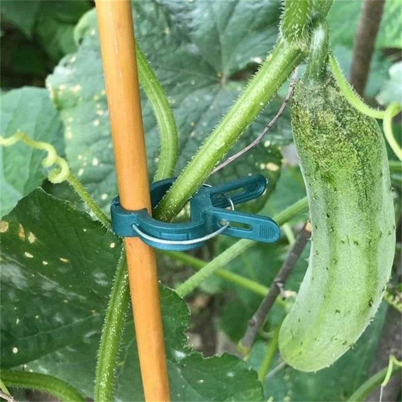 Reusable Garden Flower Lifting Grippers and Clamps