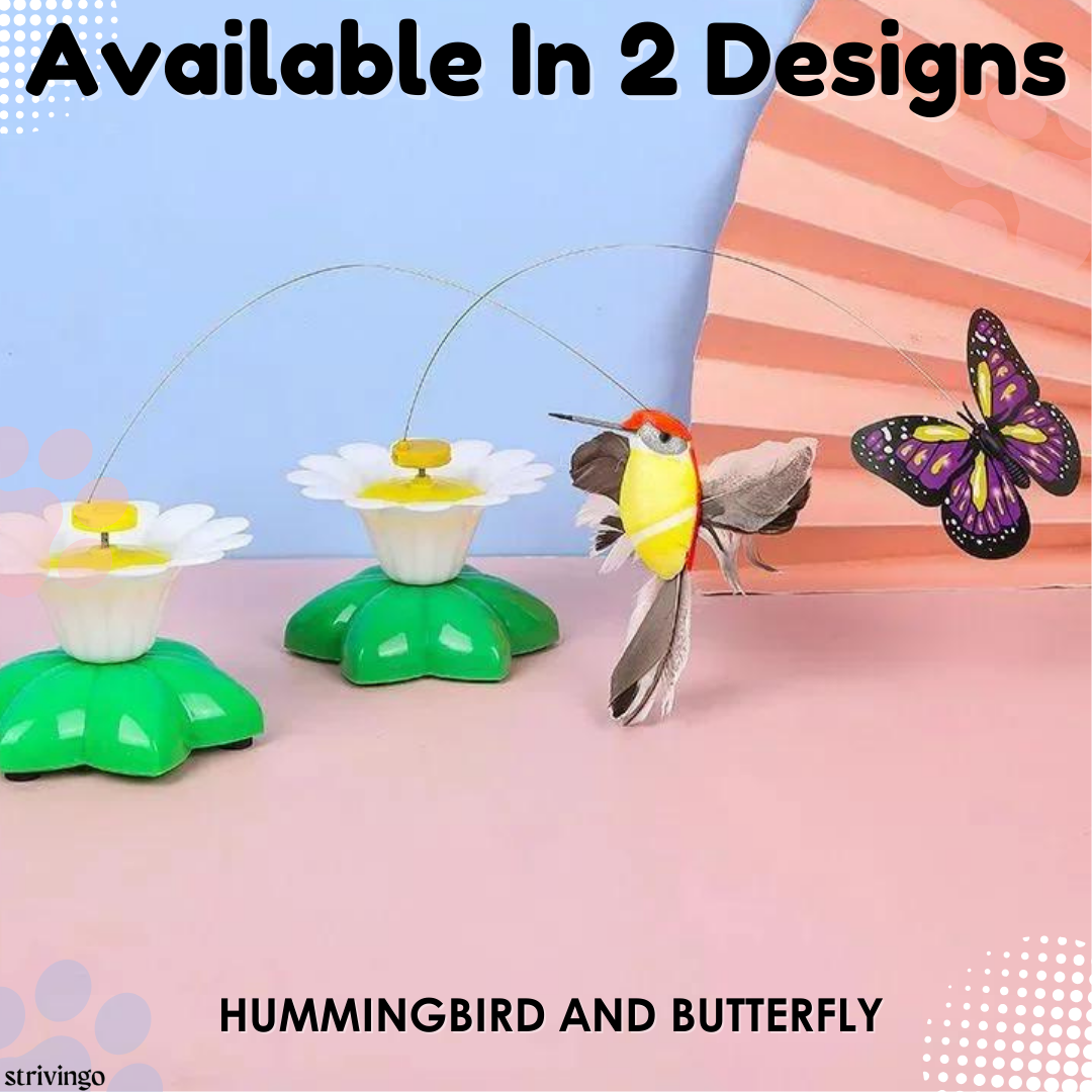 LAST DAY 50% OFF! WhirlWing™ Automatic Rotating Bird & Butterfly Toy for Cats