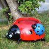 50% Off - LilyLady - Charming ladybird flower pot - Limited Discount