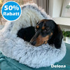 50% off - PlushRest - Comfortable pet bed - Limited Discount