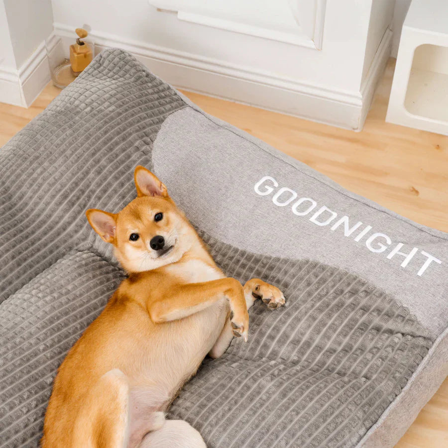 Limited discount - WoofRest - Dog cushion bed | 50% discount