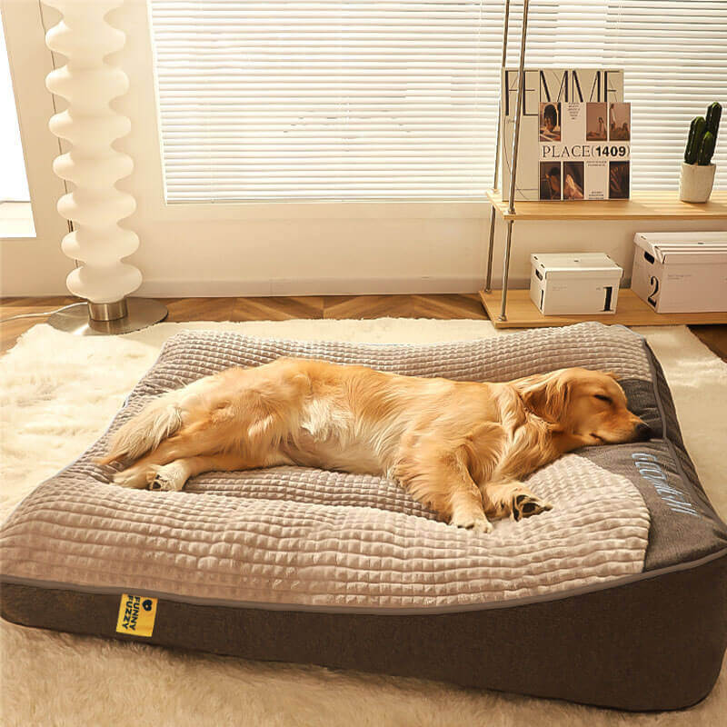 Limited discount - WoofRest - Dog cushion bed | 50% discount