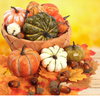 50% off - AutumnGlow - Decorative mini pumpkin set - Limited discount