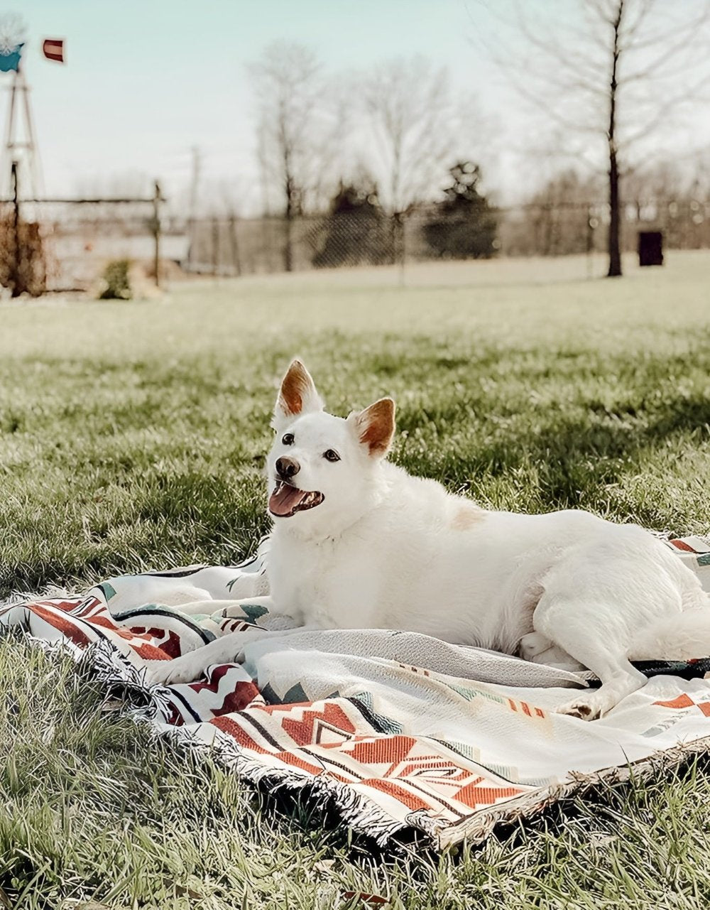 Reversible Outdoor Picnic Blanket, Durable Cotton Blend, Portable