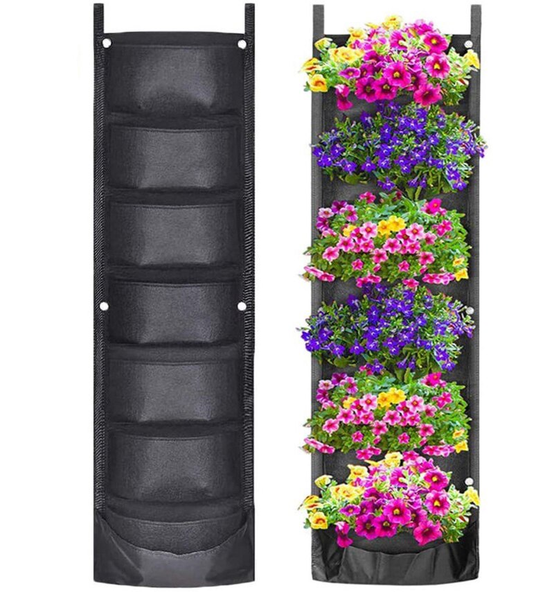 Vertical Garden Blooms for Indoor Living
