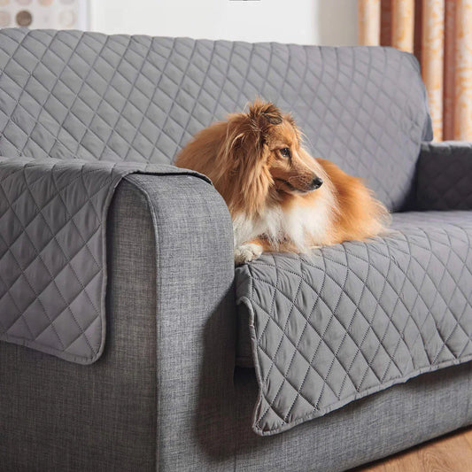 Season pet sofa cover