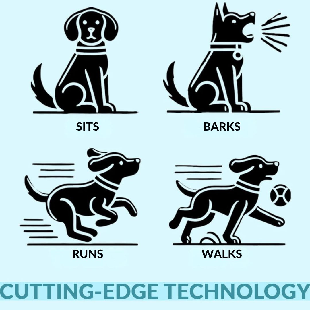 Walking & Barking Toy Dog